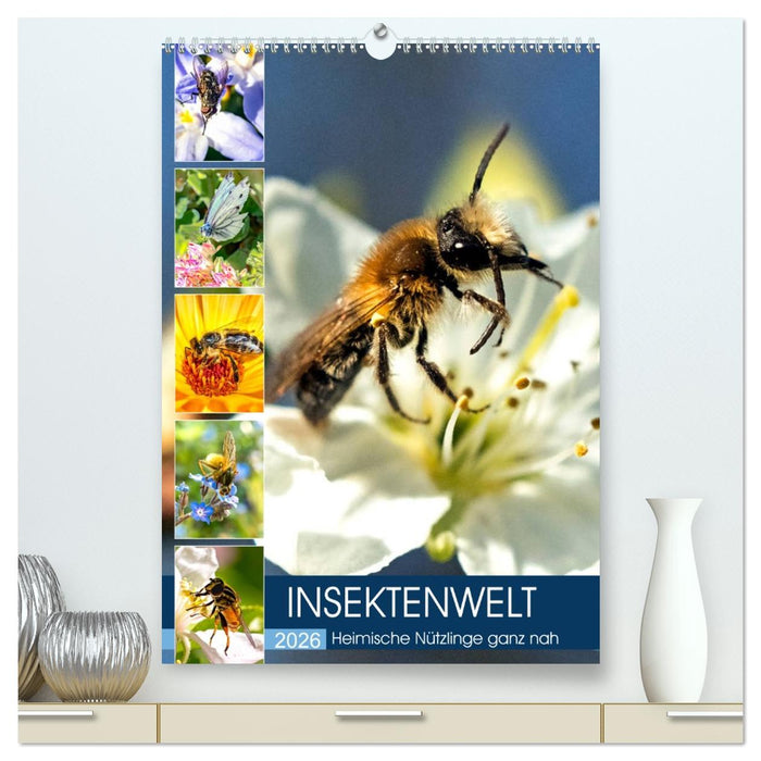INSEKTENWELT - Heimische Nützlinge ganz nah (CALVENDO Premium Wandkalender 2026)