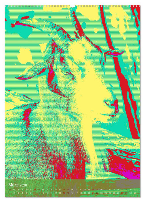 Phantastische Welt der Tiere (CALVENDO Premium Wandkalender 2026)