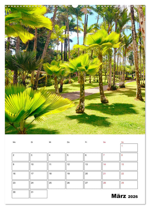 Karibik pur - mit Charme und Zauber (CALVENDO Wandkalender 2026)