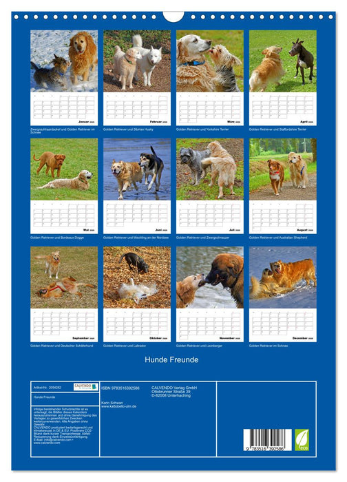 Hunde Freunde (CALVENDO Wandkalender 2026)