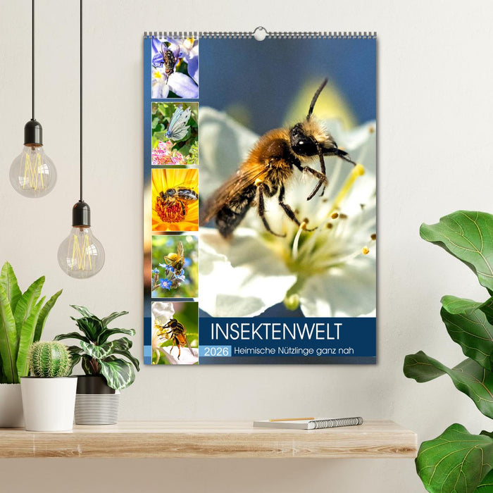 INSEKTENWELT - Heimische Nützlinge ganz nah (CALVENDO Wandkalender 2026)