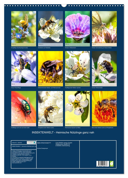 INSEKTENWELT - Heimische Nützlinge ganz nah (CALVENDO Wandkalender 2026)