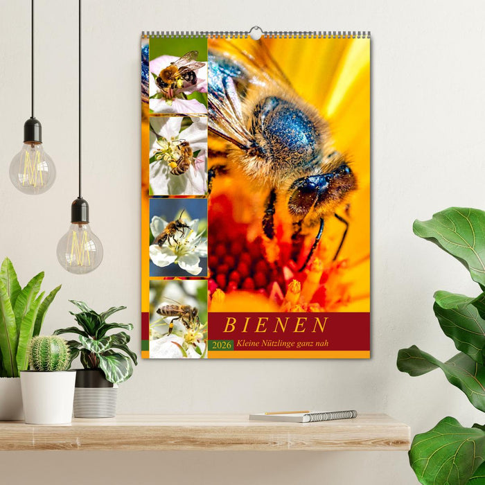 BIENEN - Kleine Nützlinge ganz nah (CALVENDO Wandkalender 2026)