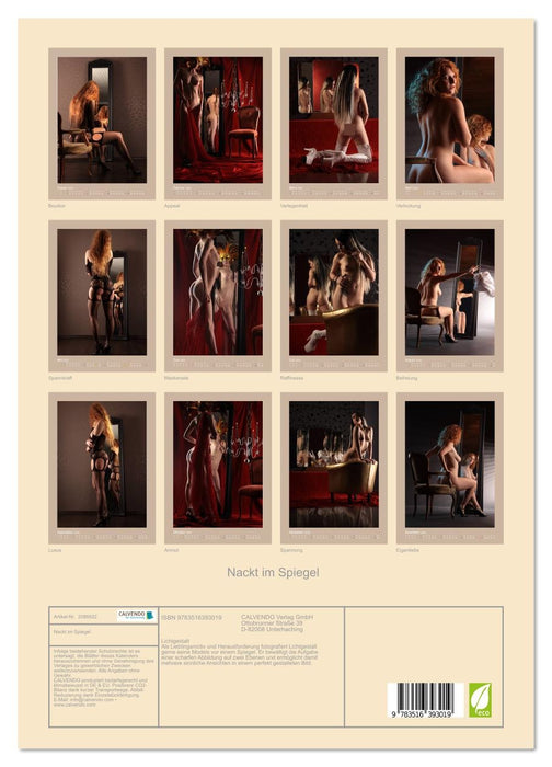 Nackt im Spiegel (CALVENDO Premium Wandkalender 2026)