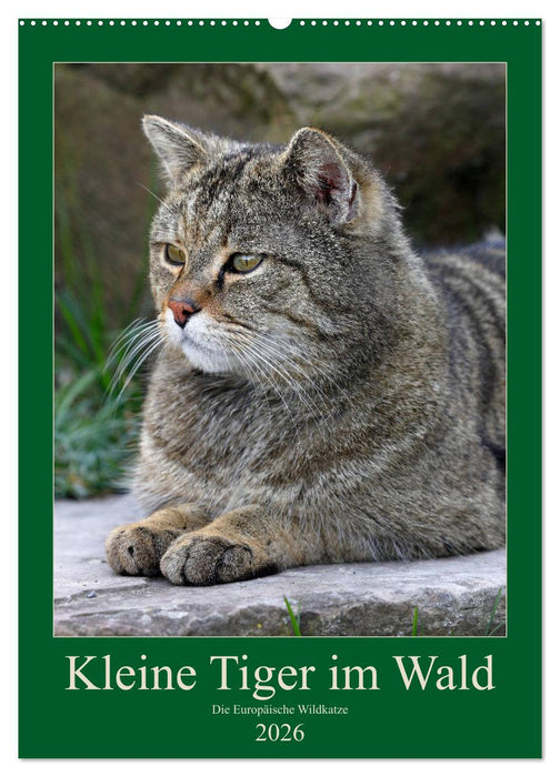 Kleine Tiger im Wald (CALVENDO Wandkalender 2026)