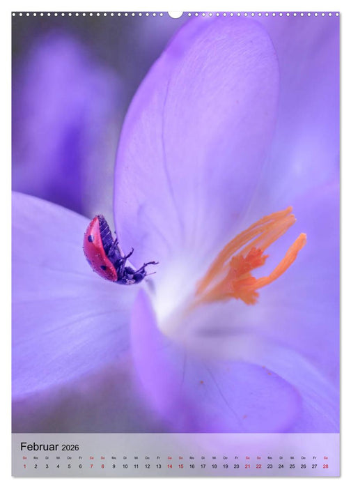 Frühlingsreif (CALVENDO Wandkalender 2026)