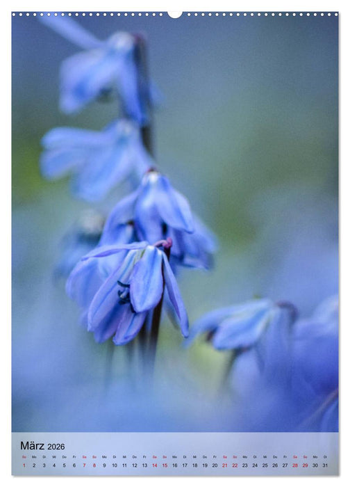 Frühlingsreif (CALVENDO Wandkalender 2026)