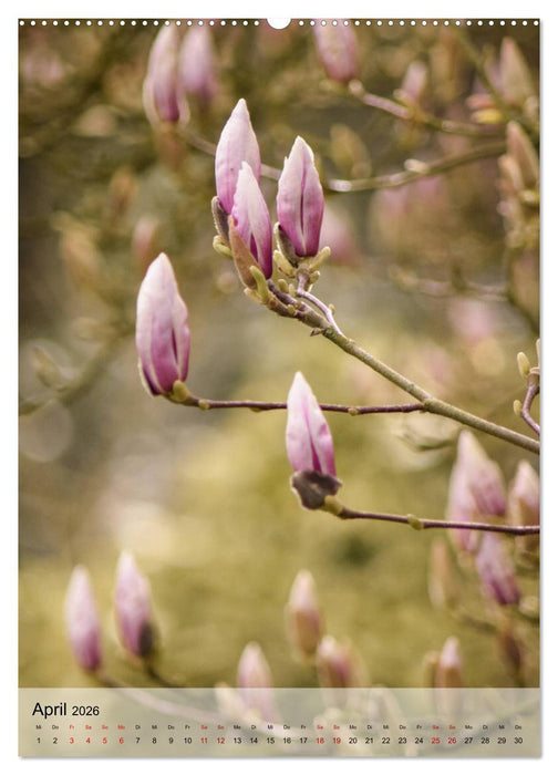 Frühlingsreif (CALVENDO Wandkalender 2026)