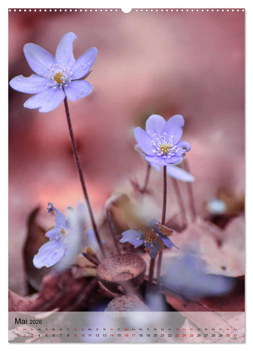 Frühlingsreif (CALVENDO Wandkalender 2026)