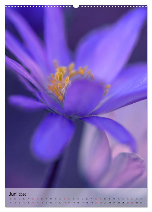 Frühlingsreif (CALVENDO Wandkalender 2026)