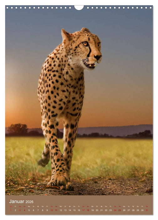 Portraits of Animals (CALVENDO Wandkalender 2026)