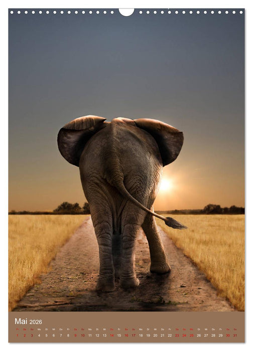 Portraits of Animals (CALVENDO Wandkalender 2026)