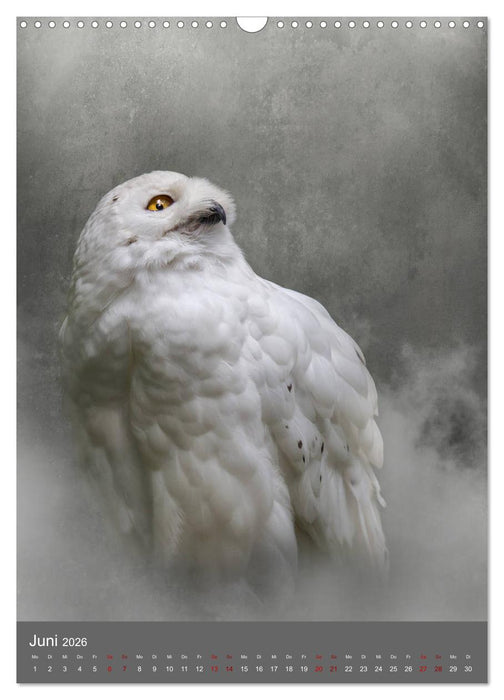 Portraits of Animals (CALVENDO Wandkalender 2026)