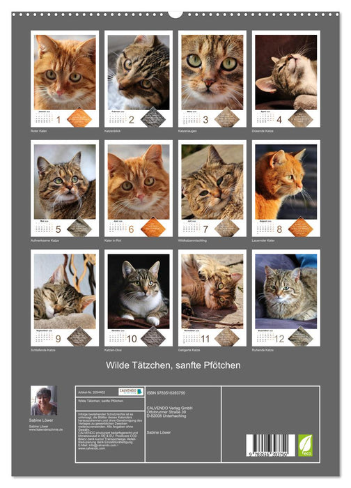 Wilde Tätzchen, sanfte Pfötchen (CALVENDO Wandkalender 2026)