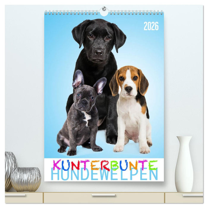 Kunterbunte Hundewelpen (CALVENDO Premium Wandkalender 2026)