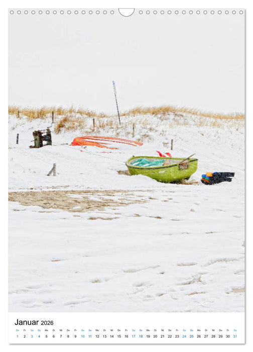 Der Darß - Küsten im Wandel der Jahreszeit (CALVENDO Wandkalender 2026)
