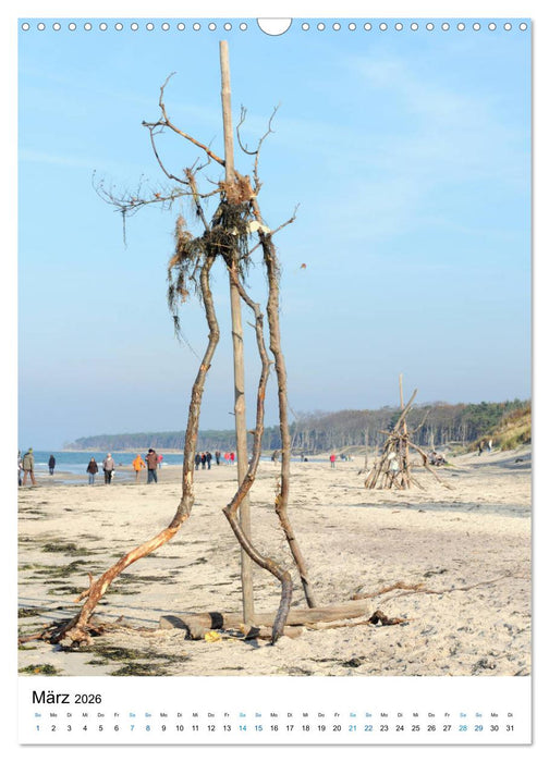 Der Darß - Küsten im Wandel der Jahreszeit (CALVENDO Wandkalender 2026)