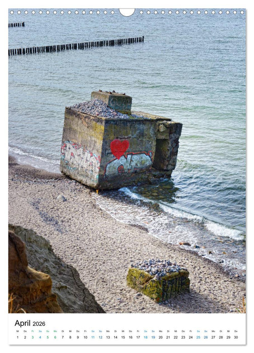 Der Darß - Küsten im Wandel der Jahreszeit (CALVENDO Wandkalender 2026)