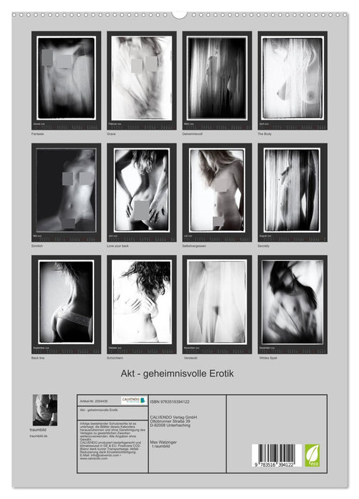 Akt - geheimnisvolle Erotik (CALVENDO Premium Wandkalender 2026)