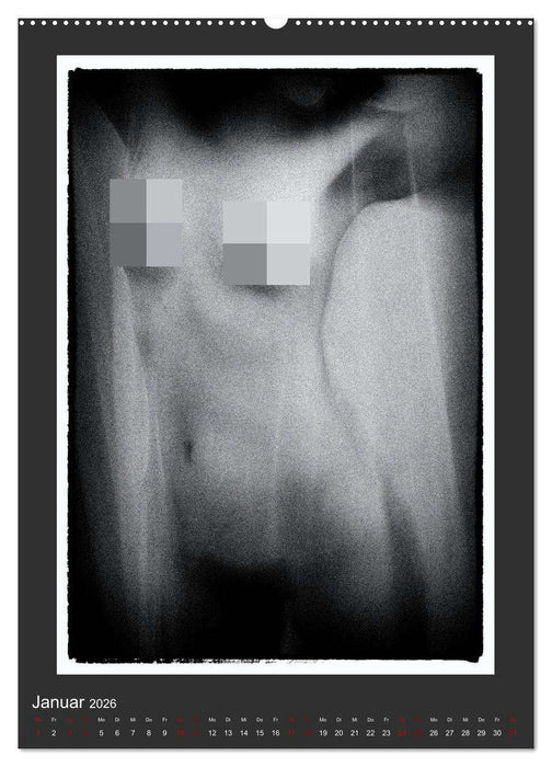 Akt - geheimnisvolle Erotik (CALVENDO Premium Wandkalender 2026)