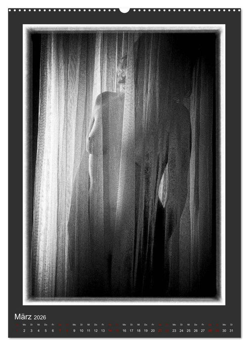 Akt - geheimnisvolle Erotik (CALVENDO Premium Wandkalender 2026)
