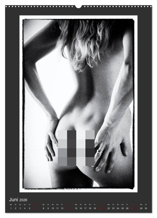 Akt - geheimnisvolle Erotik (CALVENDO Premium Wandkalender 2026)