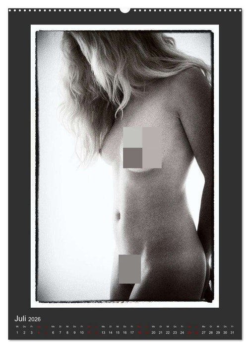 Akt - geheimnisvolle Erotik (CALVENDO Premium Wandkalender 2026)