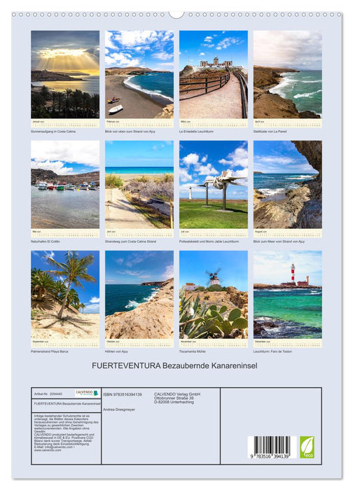 FUERTEVENTURA Bezaubernde Kanareninsel (CALVENDO Premium Wandkalender 2026)