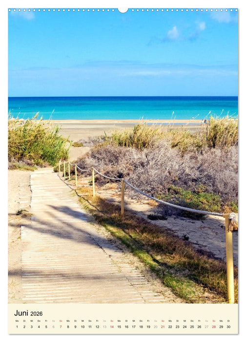 FUERTEVENTURA Bezaubernde Kanareninsel (CALVENDO Premium Wandkalender 2026)