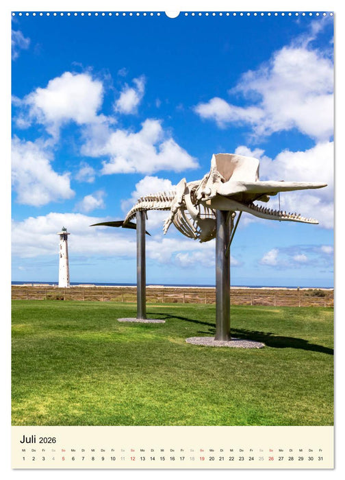 FUERTEVENTURA Bezaubernde Kanareninsel (CALVENDO Premium Wandkalender 2026)