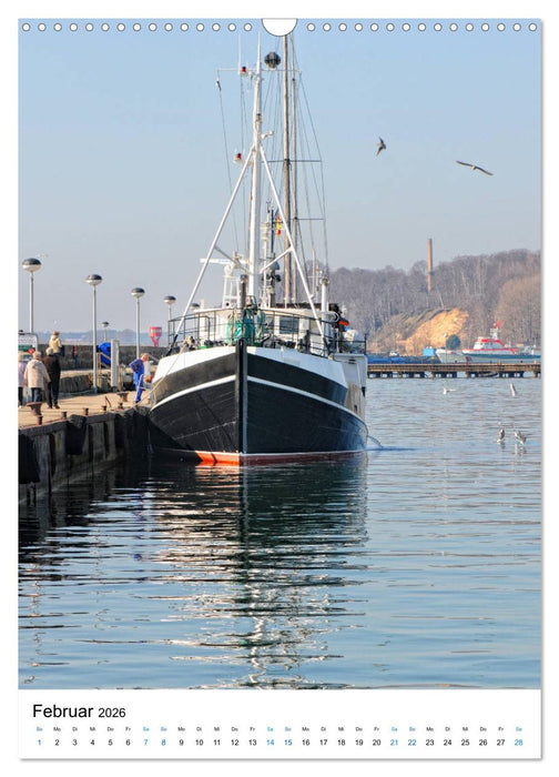 Insel Rügen - Kreide, Landschaft, Leuchttürme (CALVENDO Wandkalender 2026)