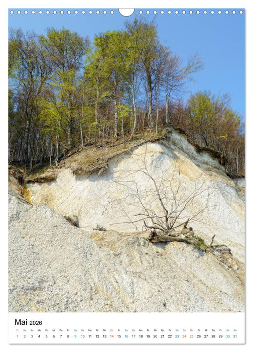 Insel Rügen - Kreide, Landschaft, Leuchttürme (CALVENDO Wandkalender 2026)