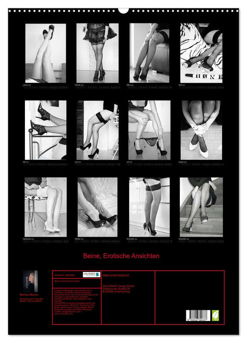 Beine, Erotische Ansichten (CALVENDO Wandkalender 2026)