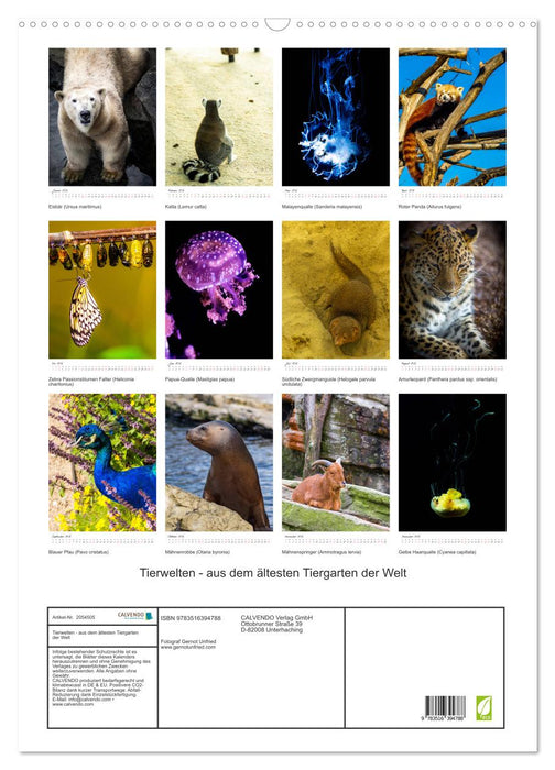 Tierwelten - aus dem ältesten Tiergarten der Welt (CALVENDO Wandkalender 2026)
