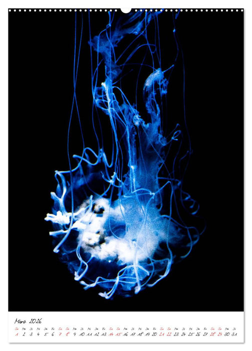 Tierwelten - aus dem ältesten Tiergarten der Welt (CALVENDO Wandkalender 2026)