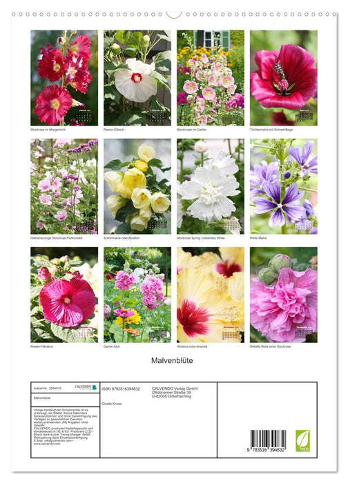 Malvenblüte (CALVENDO Premium Wandkalender 2026)