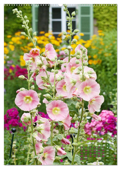 Malvenblüte (CALVENDO Premium Wandkalender 2026)