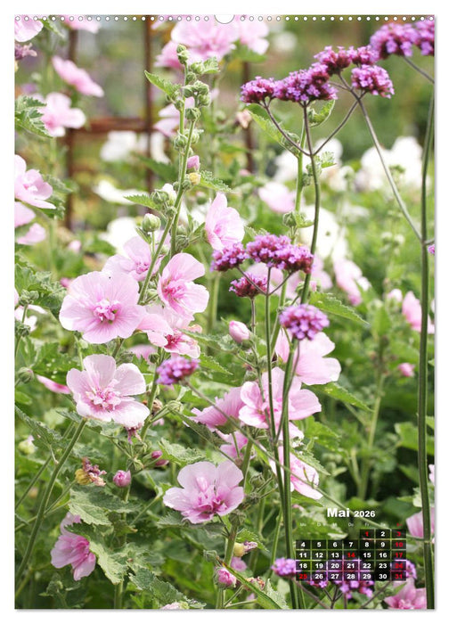 Malvenblüte (CALVENDO Premium Wandkalender 2026)