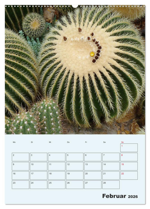 Wehrhafte Sukkulenten (CALVENDO Premium Wandkalender 2026)