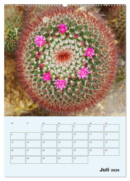 Wehrhafte Sukkulenten (CALVENDO Premium Wandkalender 2026)