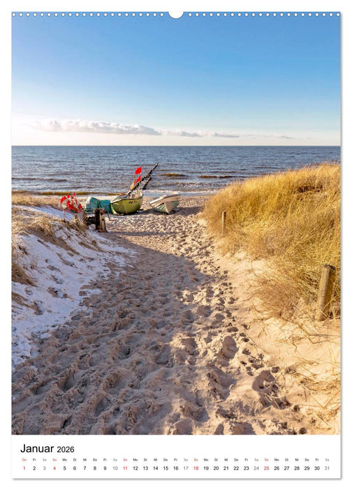 Halbinsel Darss, Portrait der Küstengemeinden (CALVENDO Premium Wandkalender 2026)