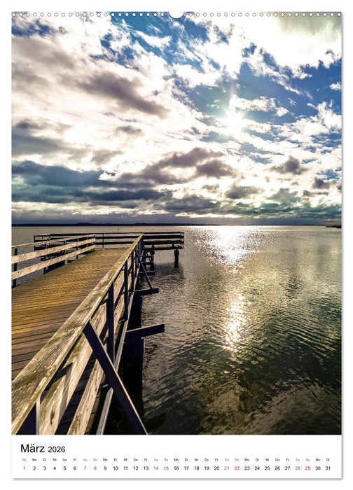 Halbinsel Darss, Portrait der Küstengemeinden (CALVENDO Premium Wandkalender 2026)
