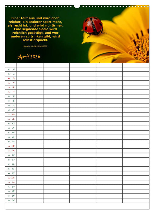ein Planer mit biblischer Weisheit aus den Sprüchen Salomos (CALVENDO Premium Wandkalender 2026)