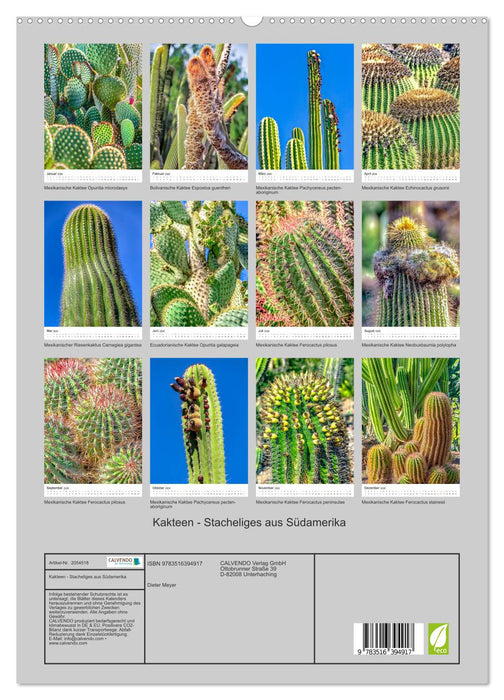 Kakteen - Stacheliges aus Südamerika (CALVENDO Premium Wandkalender 2026)