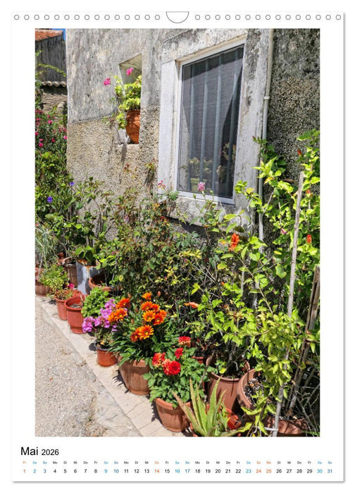 Korfu - Paradiesische Insel in der Adria (CALVENDO Wandkalender 2026)