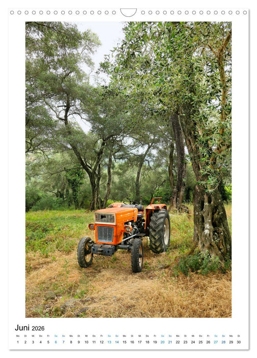 Korfu - Paradiesische Insel in der Adria (CALVENDO Wandkalender 2026)