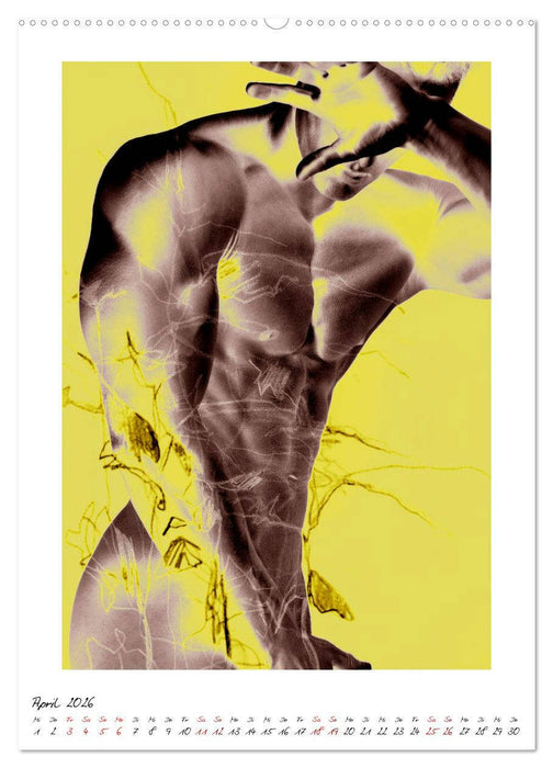 Aktfloral (CALVENDO Premium Wandkalender 2026)