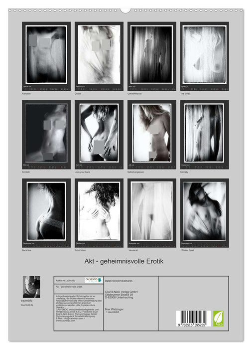 Akt - geheimnisvolle Erotik (CALVENDO Wandkalender 2026)