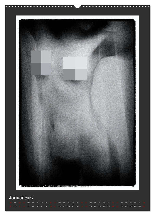 Akt - geheimnisvolle Erotik (CALVENDO Wandkalender 2026)