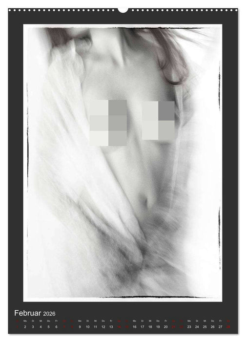 Akt - geheimnisvolle Erotik (CALVENDO Wandkalender 2026)
